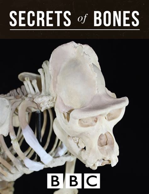 Bbc Secrets Of Bones By Bbc On Ibooks