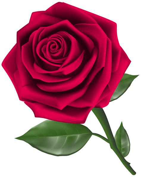 Rose Flower Clip Art Free Rose Svg File Free Transparent Png Images