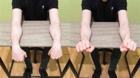 Forearm Extensor Strengthening Exercises Top 5