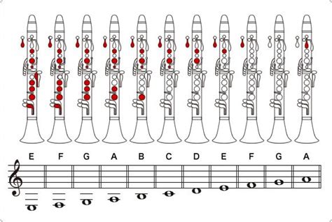 How To Play The ClarinetHow To Play A Clarinet Musical Instrument Guide Yamaha Corporation