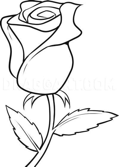 How To Draw A White Rose Step By Step Drawing Guide By Dawn
