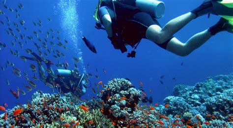 Diving In Coron Travel Palawan