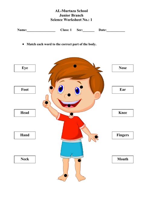 We have 15+ free body worksheets for kids for you to choose from and kids will enjoying learning about the we have worksheets that ask kids to match pictures of parts with their names, match. Body Parts Worksheet For Grade 1 / Body Theme : A ...