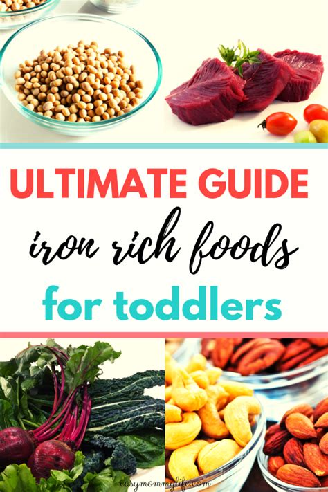 Include vitamin c rich foods to help the absorption of iron. Iron Rich Foods List For Babies - Idalias Salon