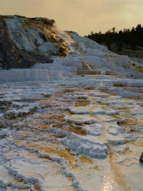 Travertine Formation At Mammoth Hot Springs Yellowstone National Park