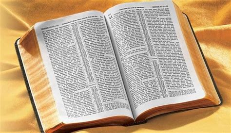 Esta era una planta real en la antigua tierra santa, que se utilizaba en la medicina y la. La Biblia, un libro imposible de encontrar en las tiendas ...