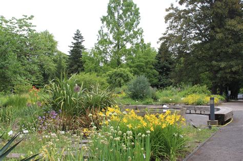 We did not find results for: Botanischer Garten Leipzig - I - Bergblumengarten