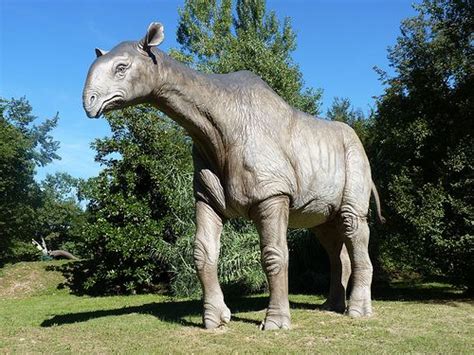 This One Is Accurate Indricotherium I Believe