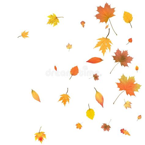Autumn Background With Golden Autumn Leaves Vector Stock Vector