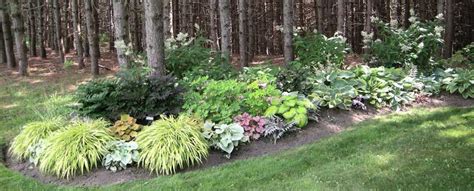 Many of the options for shade plants in zone 5 will even flower and fruit, further adding interest to a low. Well designed shade garden at Garden Centre Caledon in ...