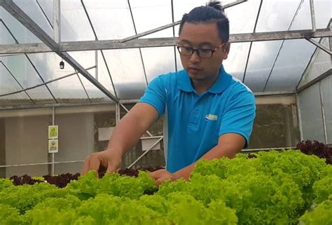 Skema percubaan geografi kertas 2 negeri pahang 2011; PRN Sabah: Jadikan pertanian satu perniagaan | Astro Awani