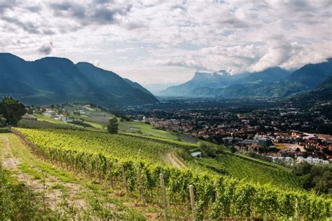 Get To Know Alto Adige The Northern Italian Wine Region The Manual