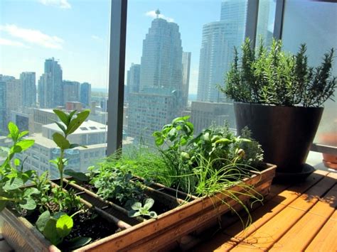 Grass On The Balcony How To Create An Herb Garden Interior Design
