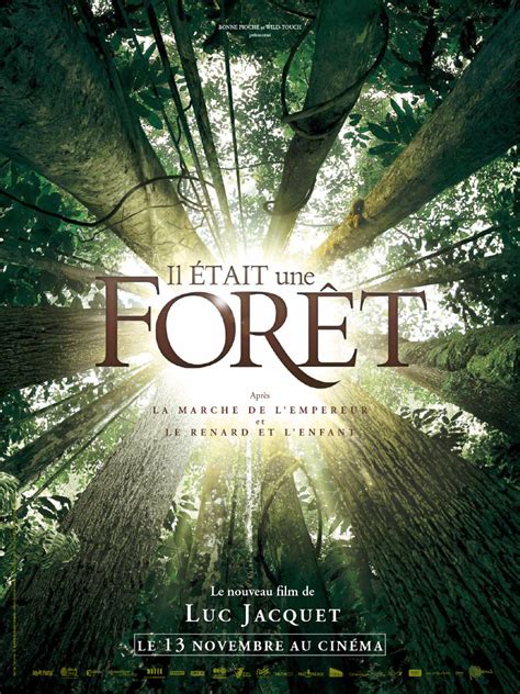Il était une forêt - film 2012 - AlloCiné