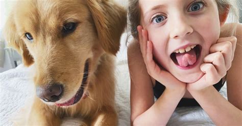 8 Best Dog Breeds For Kids Mixed Pet Veterinary Hospital