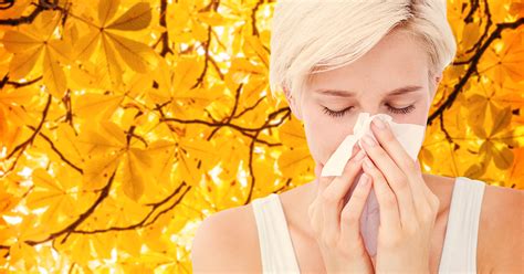 Fall Allergies Fact Or Fiction Towson Maryland Ent Surgery