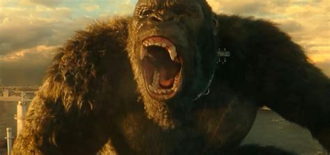 As a squadron embarks on a perilous mission into fantastic uncharted terrain, unearthing clues to the titans' very origins and mankind's survival, a conspiracy. Godzilla vs. Kong revela nuevas imágenes junto a sus juguetes