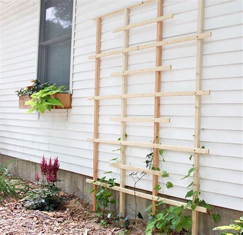 Diy bamboo pole pea trellis 14. DIY garden trellis ideas