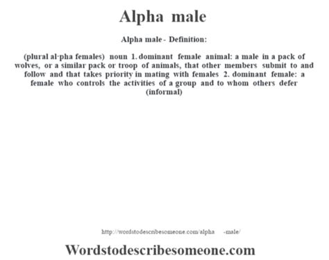 Alpha Male Definition Alpha Male Meaning Words To Describe Someone