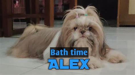 Alex Bath Time Youtube