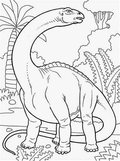 Dinosaur Coloring Printable Pages Dinosaurs