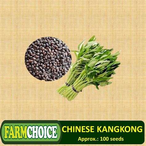 We did not find results for: Chinese Kangkong Seeds / Upland Kang kong / Water Spinach ...