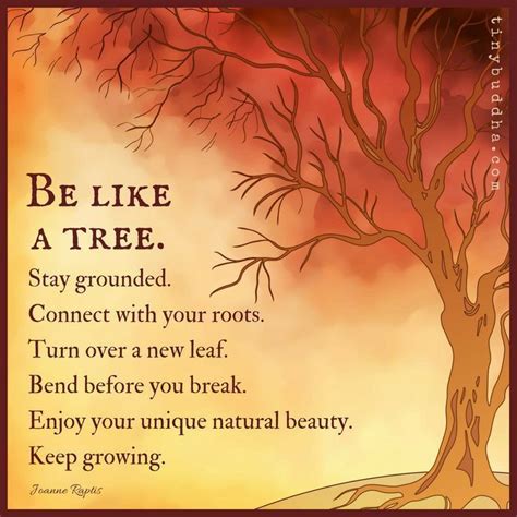 Yoga Quotes Be Like A Tree Stay Grounded Connect With Your Roots