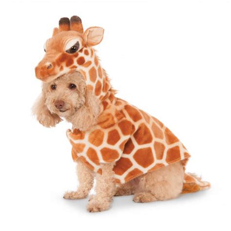 Giraffe Dog Hoodie Costume Baxterboo