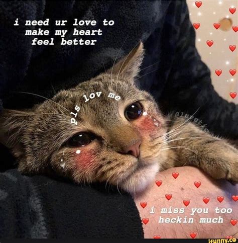 1 need ur love to make my heart feel better ifunny cute cat memes cute love memes cute