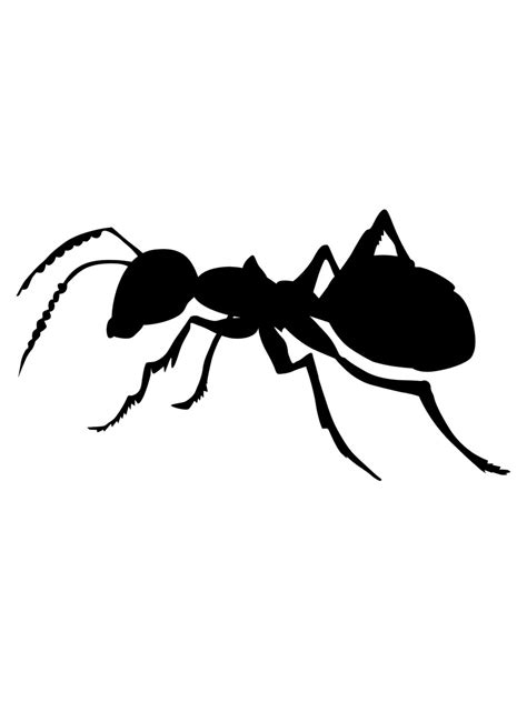 Free Printable Ant Stencils And Templates
