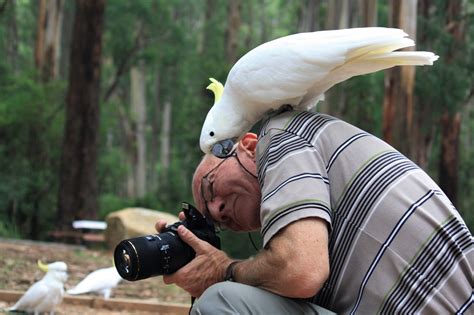 Become A Professional Wildlife Photographer Careerguide