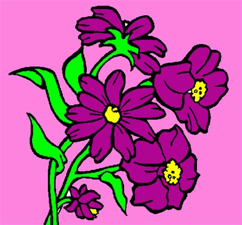 Notícias Ponto Com Desenhos De Flores Coloridas Para Imprimir