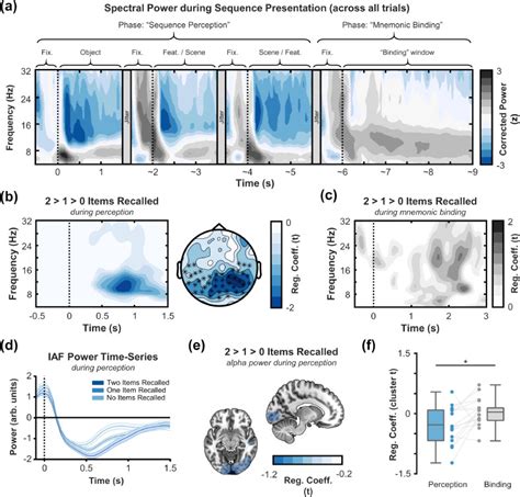 Disentangling Neocortical Alphabeta And Hippocampal Thetagamma