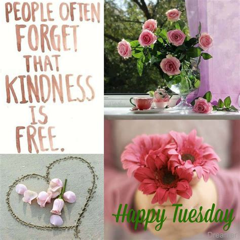 People Often Forget That Kindness Is Free Happy Tuesday Happy