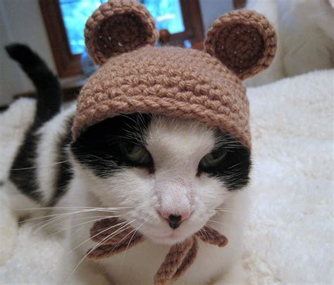 Pet Costume Pet Hat Hat For Cats Cat Clothing Pet