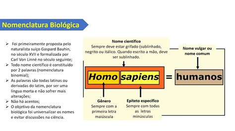 Mapa Mental Nomenclatura Binomial