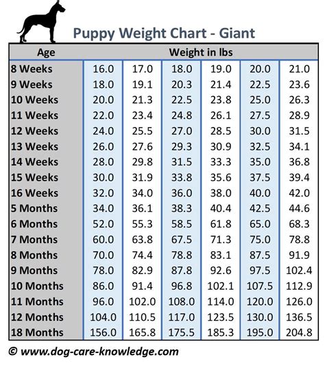 Our dog calorie calculator can be used for dogs of all ages which makes it the perfect puppy food calculator as well. Puppy Weight Chart: This is How Big Your Dog Will Be | Dog ...