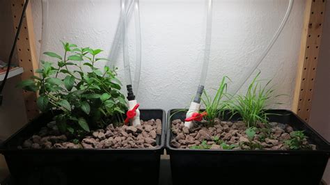 Ebb And Flow Aquaponics For The Office 12 Steps With Pictures