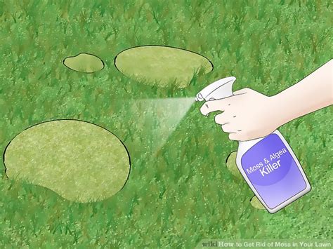 How to get rid of moss in my lawn. How to Get Rid of Moss in Your Lawn: 14 Steps (with Pictures)