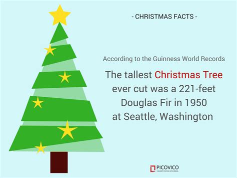 Christmas Facts Christmas Infographic Christmas Trivia Birthday 
