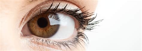 We Are Now Able To Treat Blepharitis Using Blephex
