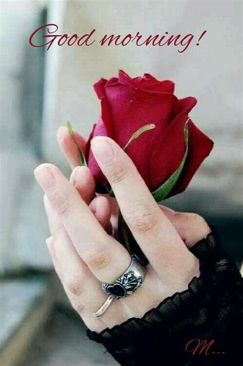 Pin By Mamta Yadav On Good Morning Beautiful Roses Beautiful Red