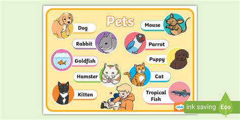Free List Of Pets Display Poster Classroom Resources