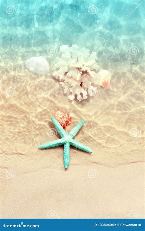Starfish And Seashell On The Summer Beach In Sea Water Summer