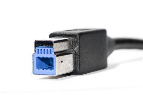 Usb Type B Connector Uses And Compatibility