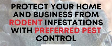 Protect Your Home And Business From Rodent Infestations With Preferred