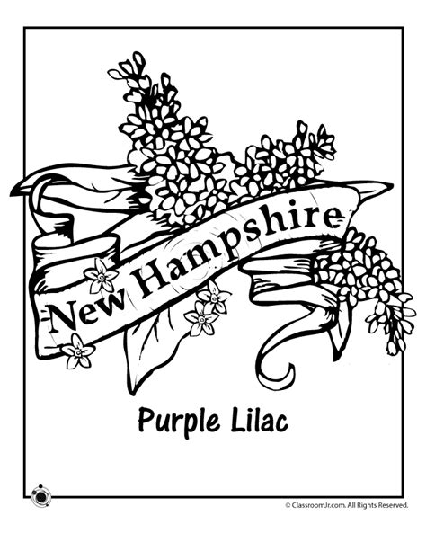 New Hampshire State Map Outline Sketch Coloring Page