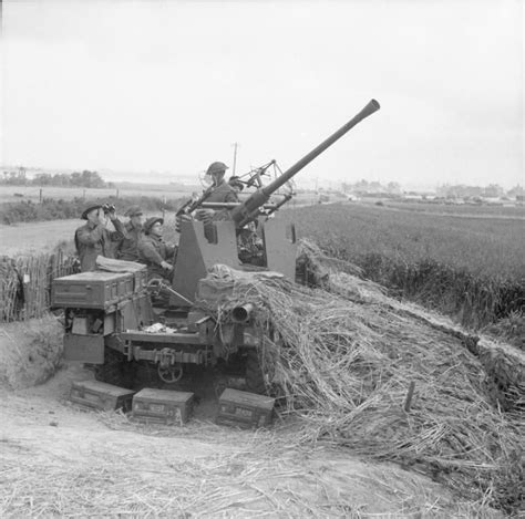40mm Bofors Gun At Le Hamel 17 June 1944 40mm Canon Bofors à Le
