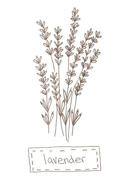 Isolated wild flower and online ✓ all rights included ✓ high resolution. lavanda | Patrones de bordado, Bordados en tela y Flores ...