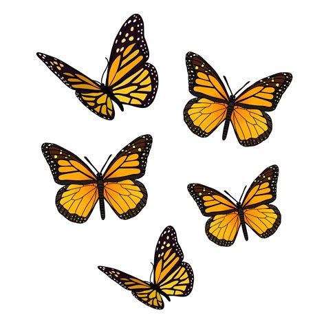 The Best 24 Aesthetic Yellow Butterfly Transparent Background